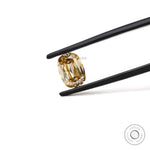 Champagne elongated cushion moissanite held between black tweezers