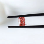Close view of vivid pink radiant in tweezers