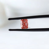 Close view of vivid pink radiant in tweezers