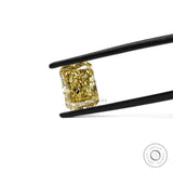 Fancy yellow radiant lab diamond held in black tweezers close-up