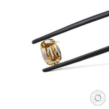 Front view of champagne elongated cushion loose moissanite