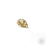 Front profile of pear shaped yellow loose lab diamond on white surface