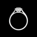Cathedral profile showing tulip petals and raised round moissanite setting.