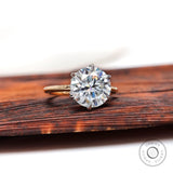 Front view round brilliant cut moissanite hidden halo ring