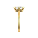 Side view showing raised basket and smooth yellow gold shank