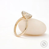 Cathedral setting hidden halo oval diamond ring