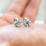 10K yellow gold round moissanite stud earrings glossy finish