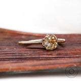 Champagne Moissanite solitaire ring with simple band, angled view on wood