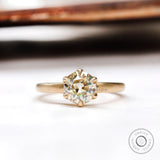 Round old European cut light champagne moissanite solitaire ring in yellow gold