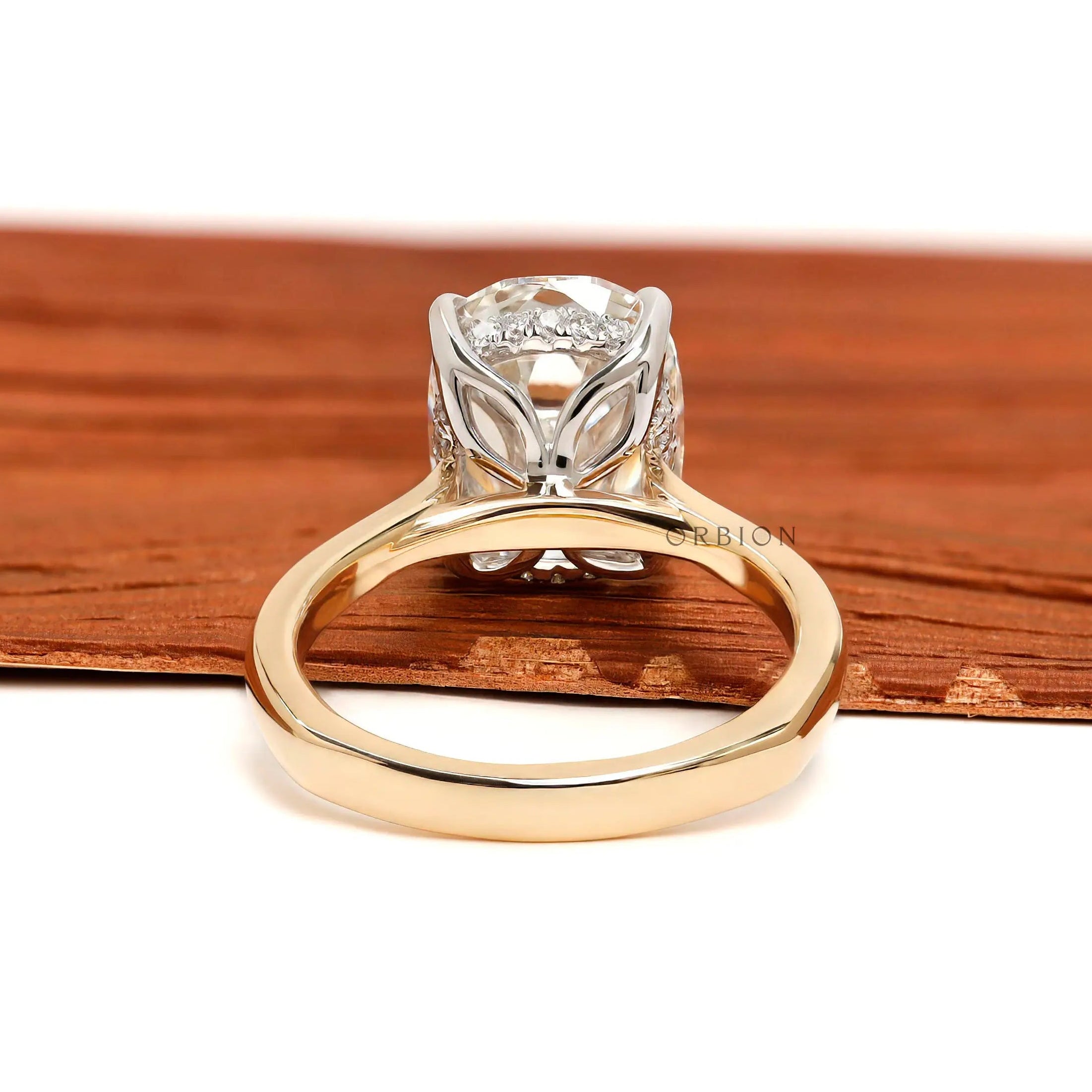 Back view dual tone elongated cushion hidden halo ring