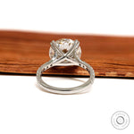 10k white gold round cut moissanite solitaire ring, 4.7 CT, pave split shank, cathedral design