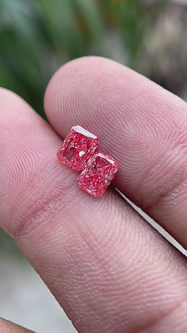 Rotating view of 1.6 TCW vivid pink radiant diamond pair