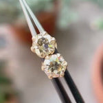 Old European cut moissanite stud earrings light champagne color video