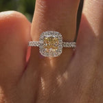 Champagne moissanite halo ring on hand pave band video